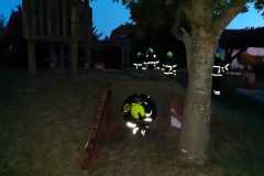 IMG-20200907-WA0010