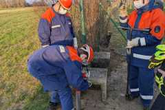 IMG-20220325-WA0003